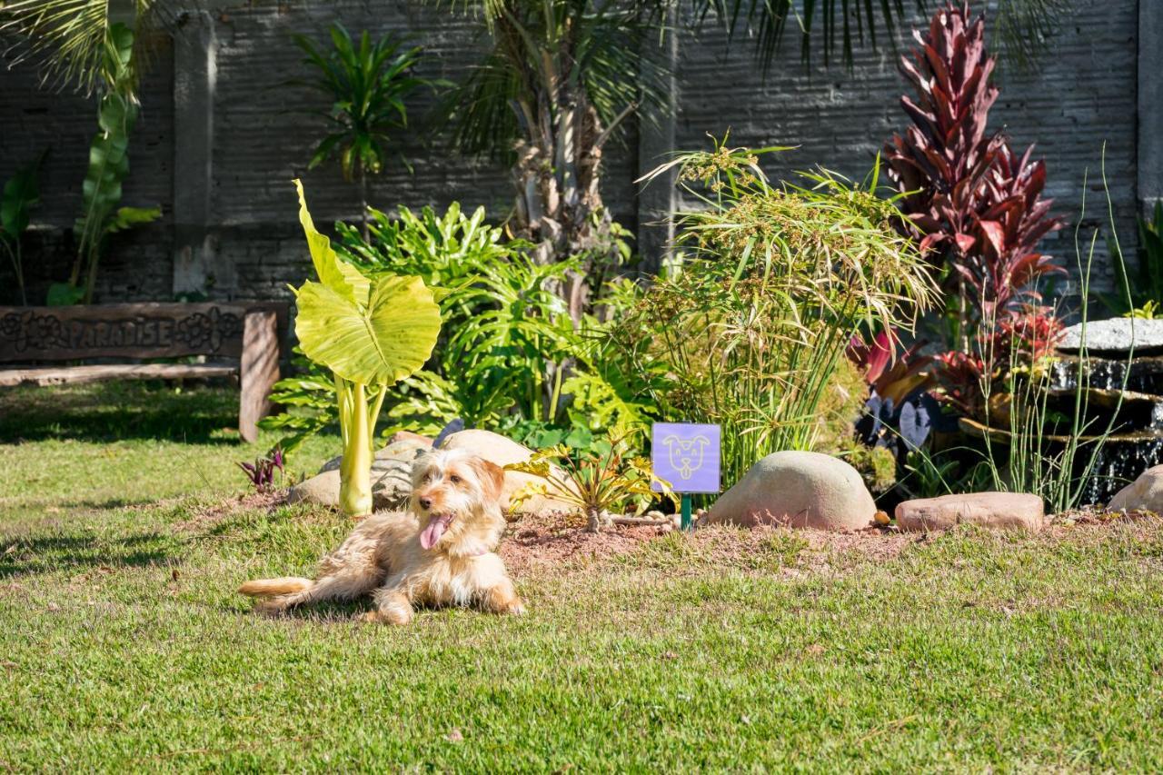 Makkai Resort Bombinhas Ngoại thất bức ảnh